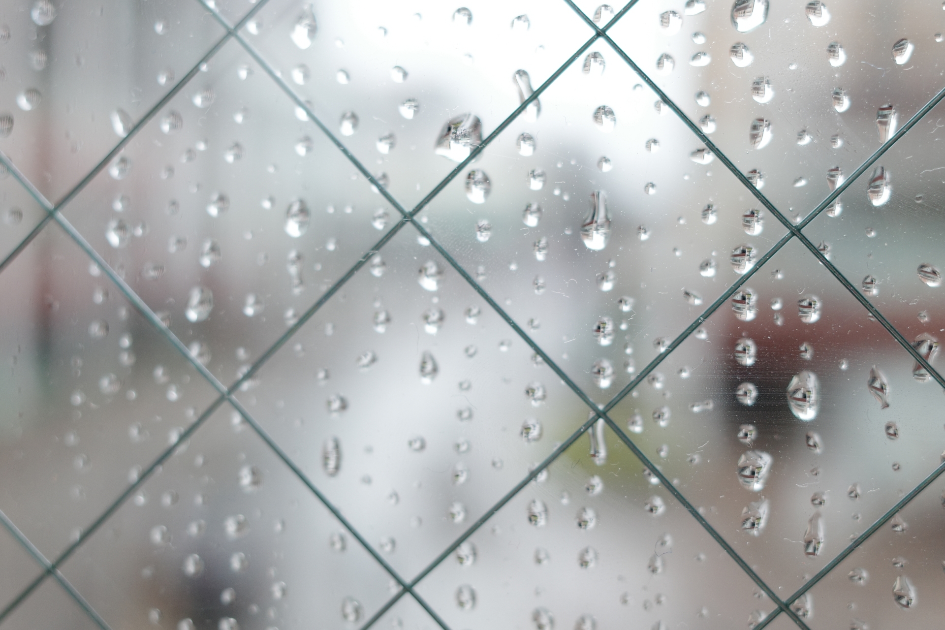 雨が降った後にカビ臭いにおいがする